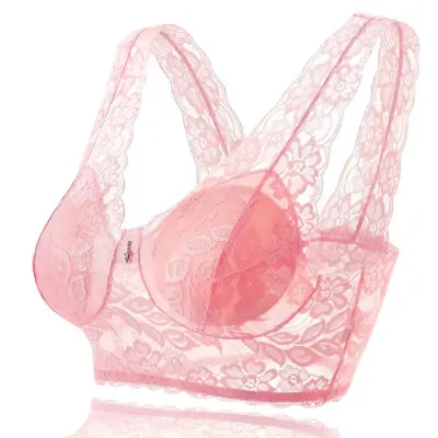 Pleasant Cat Bra Reviews